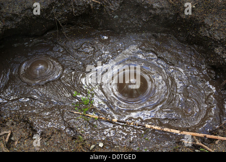 Brodelnden Schlamm an den Thermalbädern an Tokaanu, Turangi, Neuseeland Stockfoto