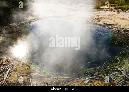 Thermalbecken im Tokaanu, Turangi, Neuseeland Stockfoto