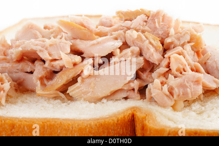 Thunfisch auf Brot Stockfoto