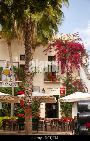 Bodega bar El Pimpi Malaga Andalusien Spanien Stockfoto