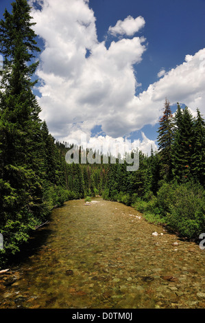 Selway, Fluss, Frank Church, gehen die Wildnis, die Nez Perce, Natur, Idaho, USA, USA, Amerika, Nordamerika, Stockfoto