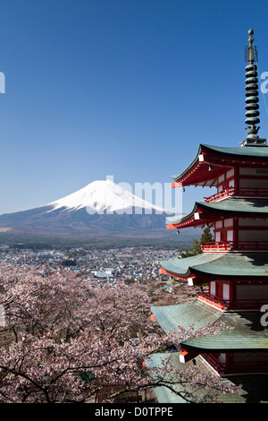 Japan, Asien, Urlaub, Reisen, Kirschblüten, Pagode, Arakura, sich, Schrein, Fuji, Mount Fuji, Fujiyama, Tsuru, Landschaft, Mo