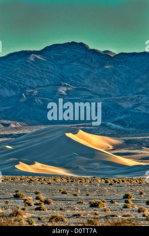 Steinbock Dünen, Death Valley Nationalpark, Kalifornien, USA, USA, Amerika, Stockfoto