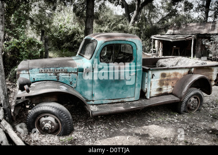 altes, Bauernhof, LKW, LKW, Oldtimer, entfremdet, rostig, USA, USA, Amerika, Auto Stockfoto