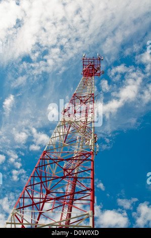 mobilen Turm Antenne Stockfoto