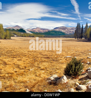 Tuolumne Meadows - Yosemite-Nationalpark, Kalifornien USA. Bild mit hoher Auflösung. Stockfoto