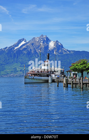 Schweiz, Kanton Luzern, Weggis am Vierwaldstättersee, Mt Pilatus Stockfoto