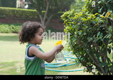 Junge Pflanzen in einem Garten Wasser Aufsprühen Stockfoto