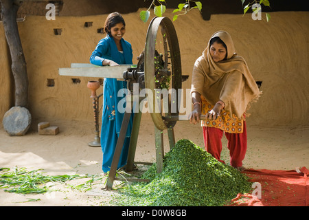 Frau schneiden Futter mit ihrer Tochter auf einem Fräser mit Spreu, Farrukh Nagar, Gurgaon, Haryana, Indien Stockfoto