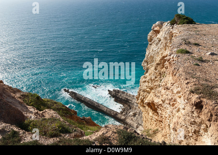 Detail von den Sandsteinfelsen von der portugiesischen Südküste, Kap Espichel, Sesimbra, Portugal Stockfoto