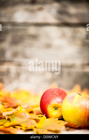 Herbst Grenze aus Äpfel und Blätter Stockfoto