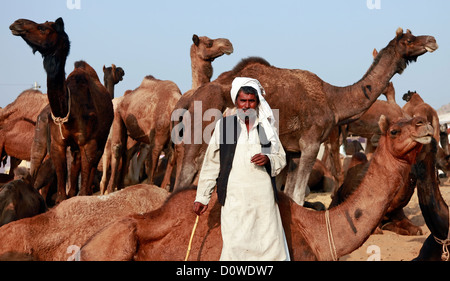 Indische Männer in Pushkar Camel Fair, Indien Stockfoto