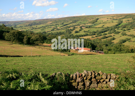 Steinmauer trocken und Bauernhof Farndale North Yorkshire England UK Stockfoto