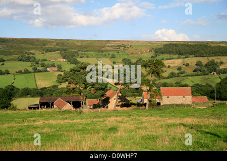 Bauernhof Farndale North Yorkshire England UK Stockfoto