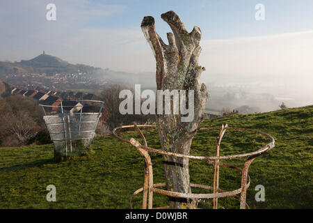 Glastonbury Tor und die Überreste der belästigten Heilige Dornenbaum, auf dem Wearyall Hill, an einem kalten frostigen nebligen Morgen. Hundebesitzer Stockfoto