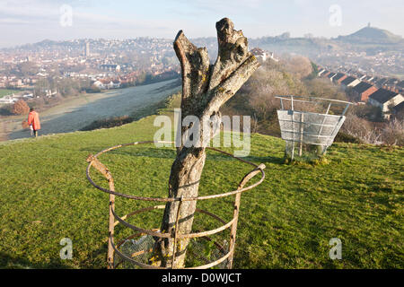 Glastonbury, Somerset, Großbritannien 1. Dezember 2012 Glastonbury Tor im Hintergrund. Hündin Walker die Überreste des Heiligen Thorn Tree an einem kalten frostigen nebligen Morgen vorbei. Dieser Baum ist mit Legenden über Joseph von Arimathea und Ankunft des Christentums in Großbritannien verbunden. Seine Äste wurden in einem Akt von Vandalismus am 9. Dezember 2010 abgeholzt. Jedes Jahr im Dezember wurde ein Zweig der Dornen von diesem Baum der Königin geschickt, als Tischdekoration am Weihnachtstag verwendet werden. Die Königin erhält nun einen Zweig von einem anderen Glastonbury Dornenbaum. Stockfoto