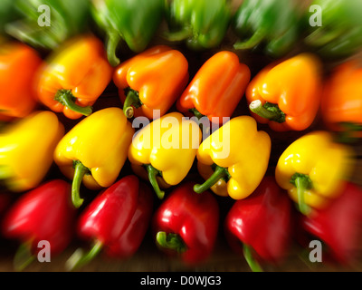 Gemischte rote, grüne, gelbe & orange frische Paprika-Fotos, Bilder & Bilder Stockfoto