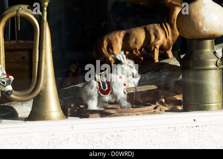 Verschiedene Gegenstände in das Fenster von einem Second Hand Laden in Goleta, Kalifornien gesehen Stockfoto