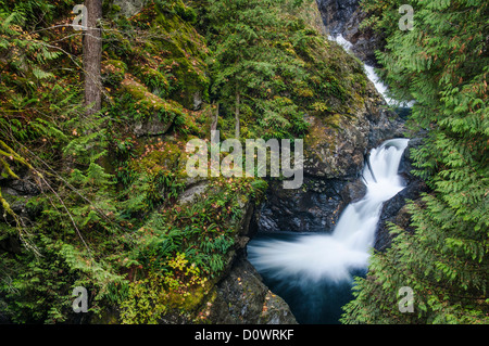 Mittlere Reihen von Twin Falls auf der South Fork Snoqualmie River, Olallie State Park, Cascade Mountains, Washington. Stockfoto