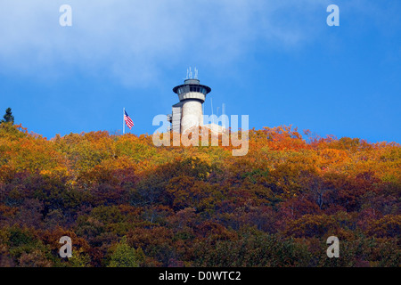 GA00195-00... Georgien - Gipfel des Brasstown Bald, der höchste Punkt in Georgien. Stockfoto