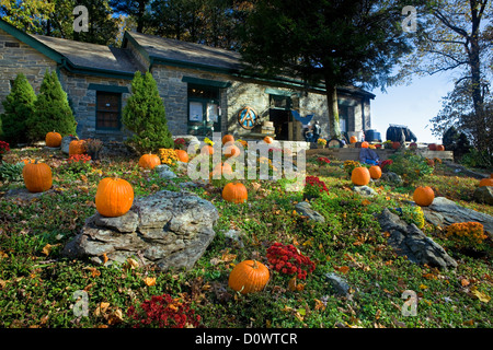 GA00212-00... Georgien - Walasi-Yi Center am Neel Lücke entlang der Appalachian Trail im Chattaoochee National Forest. Stockfoto