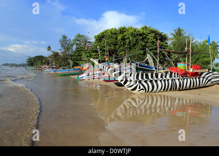 Hölzerne Ausleger Angelboote/Fischerboote am Strand von Weligama in Weligama Bay, Sri Lanka. Stockfoto