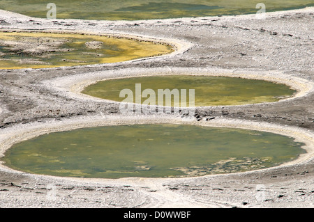 The Spotted Lake, Osoyoos, British Columbia, Kanada - ein Unu Stockfoto