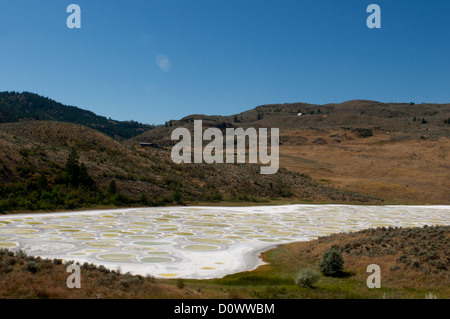 Spotted Lake, Osoyoos, British Columbia, Kanada - ein ungewöhnlicher Anblick, der von den Ureinwohnern der Okanagan seit Jahrhunderten als heiliger Ort gilt Stockfoto