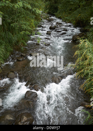 Wildwasser-Fluss in Sarapiqui Tal, Costa Rica; Zentralamerika Stockfoto