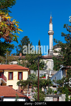 Ansicht der Stadt Ioannina in Griechenland. Im Hintergrund ist die Alsan-Pascha-Moschee Stockfoto