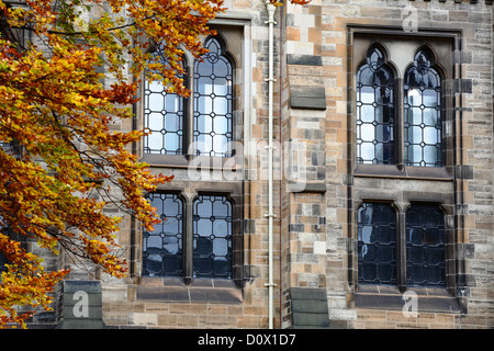 Detail von Bleifenstern im East Quadrangle im Herbst auf dem Campus der University of Glasgow auf Gilmorehill in Glasgow, Schottland, Großbritannien Stockfoto