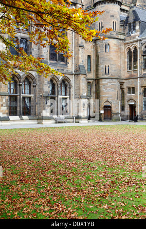 Der Osten Viereck im Herbst auf dem Campus der University of Glasgow am Gilmorehill in Glasgow, Schottland Stockfoto