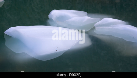 Mini-Eisberge in grün. Stücke von Schmelzwasser aus dem Ghost-Gletscher Schwimmen im Teich unter seiner Zunge. Stockfoto