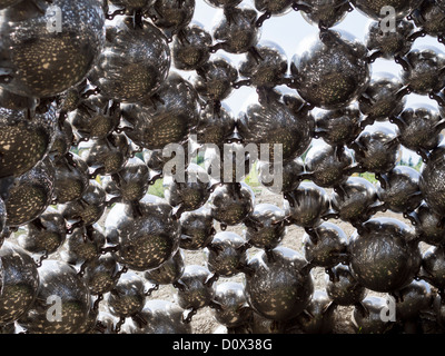 Der Blick aus dem Inneren der Talus-Dome-Skulptur. Stockfoto