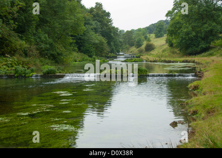 Landschaft Natur Fluß Lathkill in der Nähe von Youlgreave Derbyshire Stockfoto
