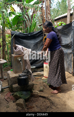 Frau im Dorf Waikkal, Sri Lanka, ziehen Wasser aus einem nun mit und alte Handpumpe Stockfoto