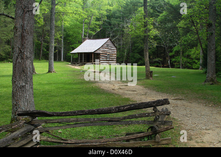 Carter schirmt Kabine. Historisches Haus in Cades Cove, Great Smoky Mountains Nationalpark. Townsend, Tennessee, USA. Stockfoto