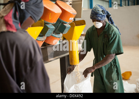 Arbeiter füllen Säcke von Mais in einem Lagerhaus in Kampala, Uganda, Ostafrika. Stockfoto