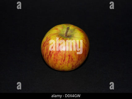 Braeburn Apple vor einem schwarzen Hintergrund Stockfoto