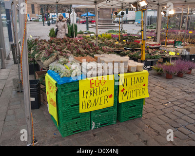 Im freien Markt am Stortorget Platz in Oslo Norwegen, Blumen Gemüse und Zeichen verkünden Eiern von glücklichen Hühnern und Moltebeeren Stockfoto