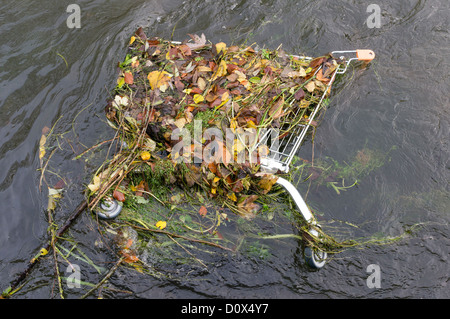 Einkaufswagen in Fluss geworfen und mit Unkraut und Laub bedeckt Stockfoto