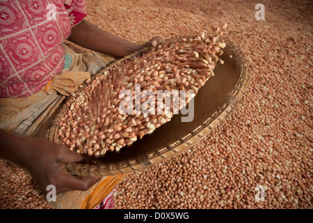 Eine Frau winnows Erdnüsse in einem Warenlager in Dar Es Salaam, Tansania, Ostafrika. Stockfoto