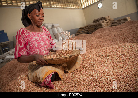 Eine Frau winnows Erdnüsse in einem Warenlager in Dar Es Salaam, Tansania, Ostafrika. Stockfoto