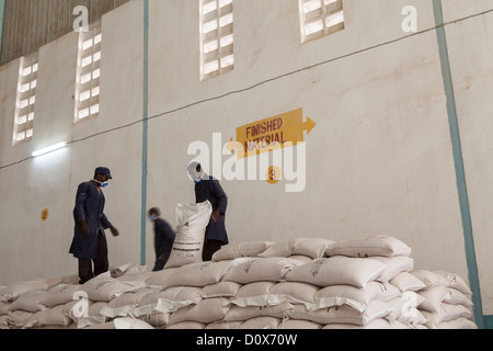 Arbeiter Stapel Säcke mit Linsen (Impulse) in einem Lagerhaus Rohstoffe in Dodoma, Tansania, Ostafrika. Stockfoto