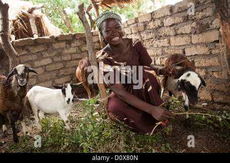 Eine Frau wirft Ziegen in Doba, Tschad, Afrika. Stockfoto