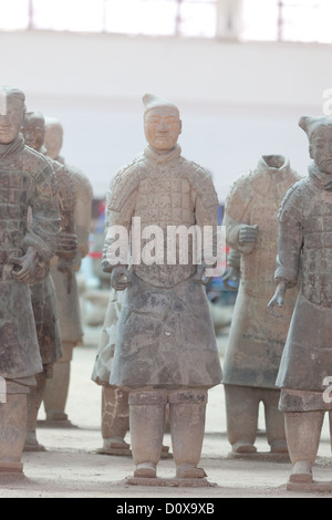 Armee der Terrakotta-Krieger (Bingmayong). 1974 von einem Landwirt in der Nähe von XIan entdeckt. Stockfoto