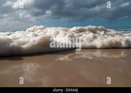 Schäumende Welle Abwasch auf Angel Beach, Ballina, NSW, Australien Stockfoto