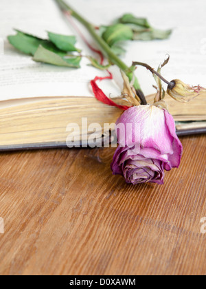 Vintage Buches mit trockenen rosa Rose auf es zu öffnen; Blume im Fokus Stockfoto