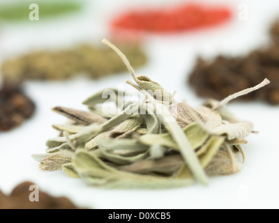 Runde Gewürze auf weißem Hintergrund Makro Nahaufnahme Detail bunt Stockfoto