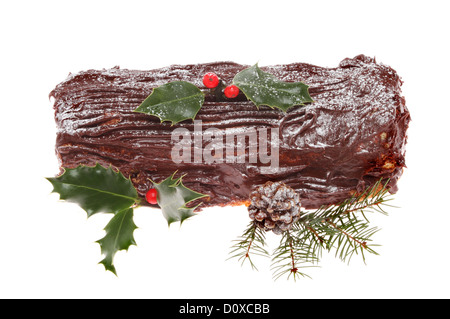 Schoko Yule Log dekoriert mit Holly, verlässt Kiefer Kegel und Tanne Stockfoto